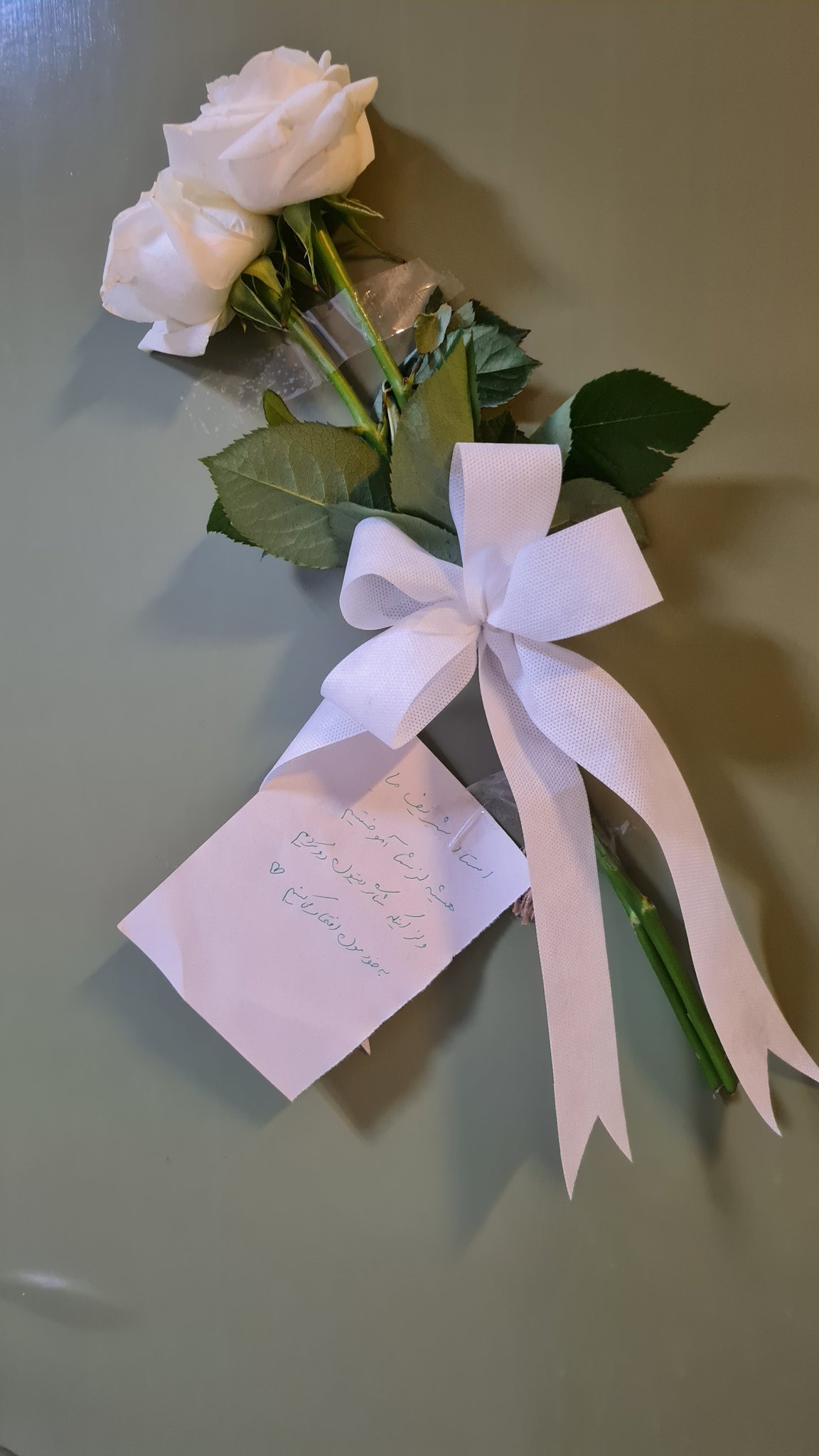 واکنش دانشجوها به اخراج استاد دانشگاه شریف؛ ارسال گل و یک نامه/ عکس