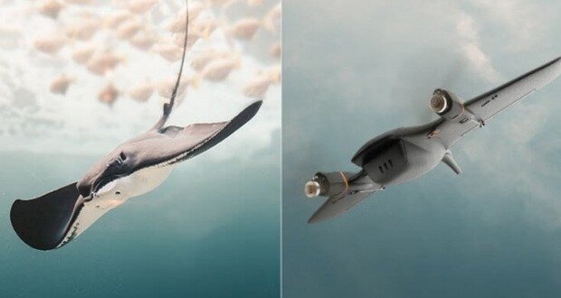 پهپاد جدید با ظاهری شبیه به سفینههای فضایی/ عکس