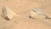 دیده شدن کوسه در مریخ!/ عکس