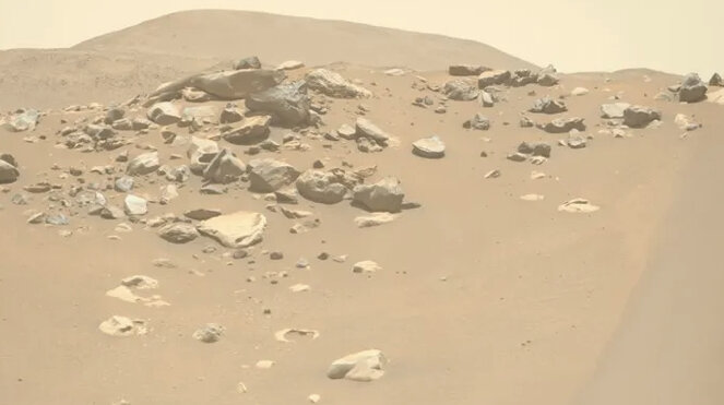 دیده شدن کوسه در مریخ!/ عکس