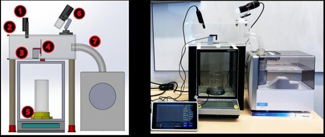 استفاده مفید و باورنکردنی از سوسک و عنکبوت/ عکس
