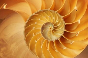 پاسخ این سوال ساده را نمیدانید / چرا دو به علاوه دو همیشه چهار میشود؟