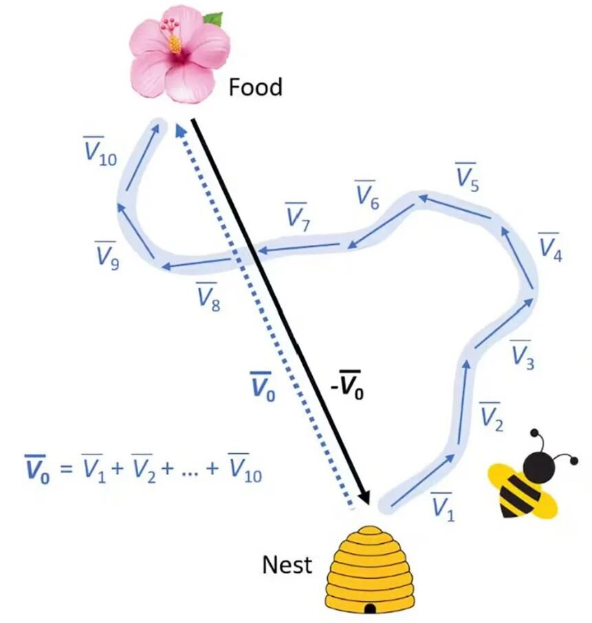 پاسخ این سوال ساده را نمیدانید / چرا دو به علاوه دو همیشه چهار میشود؟ 3
