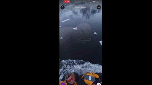 جنجال دیده شدن اتفاقی هیولا در گوگل استریتویو/ عکس