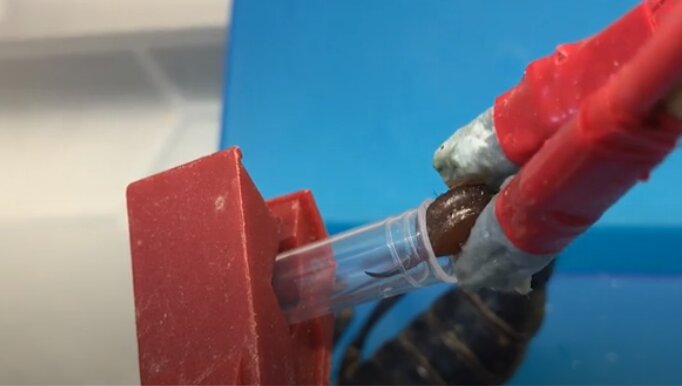 گرانقیمتترین مایع جهان که یک لیترش ۵۰۰ میلیارد تومان است / عکس