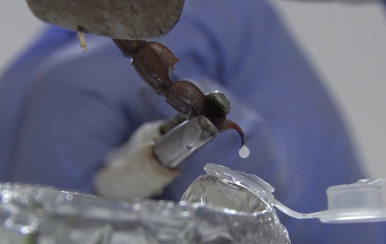 هر قطره ناچیزش چند میلیون میارزد/ عکس