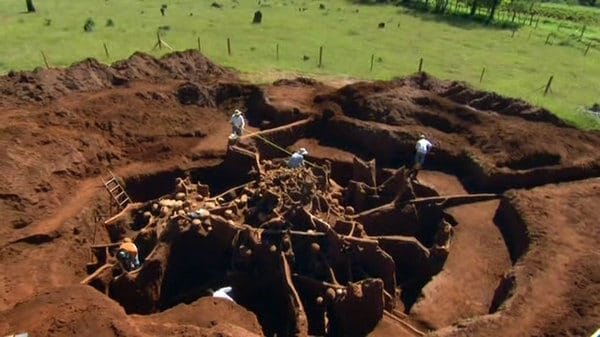 نتیجه باورنکردنی ریختن سیمان در لانه مورچهها/ عکس