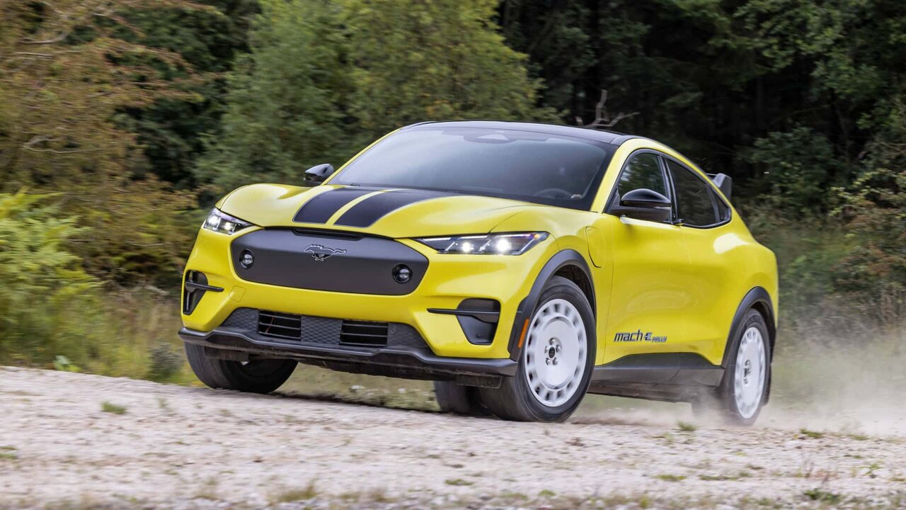 چهره خشن و جذاب اسب سرکش فورد / عکس