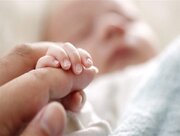 کاهش سه درصدی ولادت در کرمانشاه نسبت به سال گذشته