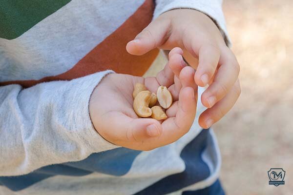 خواص شگفتانگیز بادام هندی برای سلامتی/ مقدار مصرف مجاز روزانه