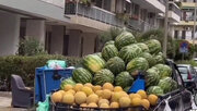 ببینید | میوه فروشی در اروپا به سبک وانتی‌های تهران!
