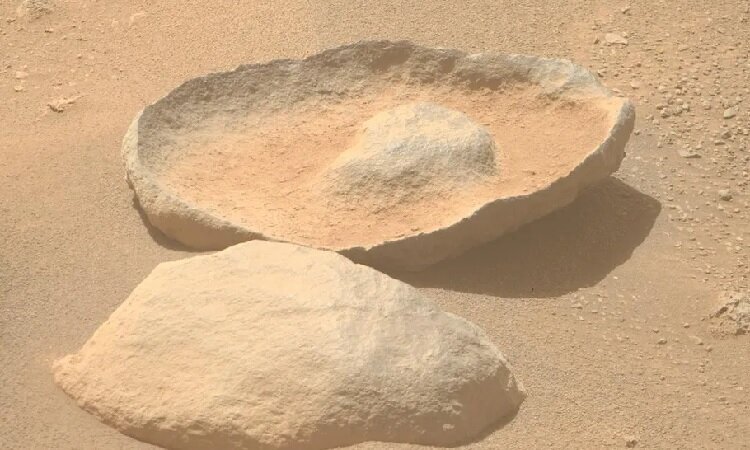 پیدا شدن آواکادو در مریخ! 