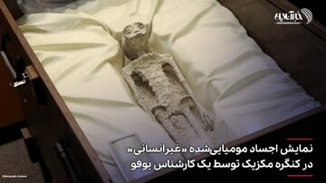 تصاویر | نمایش جنجالی اجساد آدم فضایی‌ها تا دست‌های منتظر مهاجران برای دریافت غذا