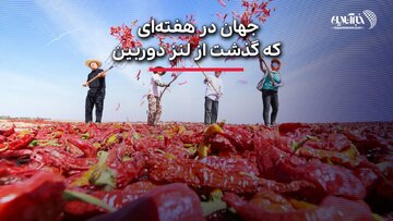 تصاویر | نمایش جنجالی اجساد آدم فضایی‌ها تا دست‌های منتظر مهاجران برای دریافت غذا