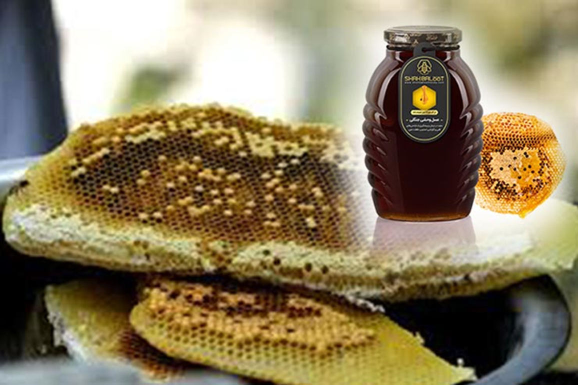 راهنمای خرید عسل وحشی و ژل رویال از زنبوردار