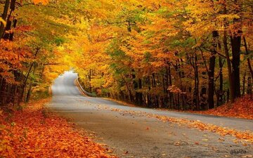 با آغاز پاییز کجای جهان بهار میشود؟ / عکس با آغاز پاییز کجای جهان بهار میشود؟ / عکس