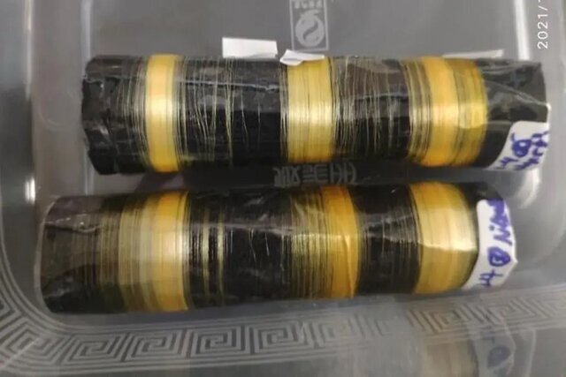 پیوند عجیب عنکبوت و کرم ابریشم در چین/ عکس