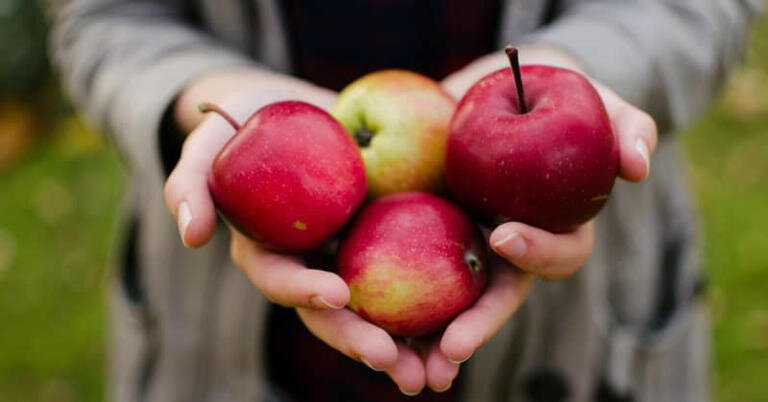 این مواد غذایی لاغرتان میکنند
