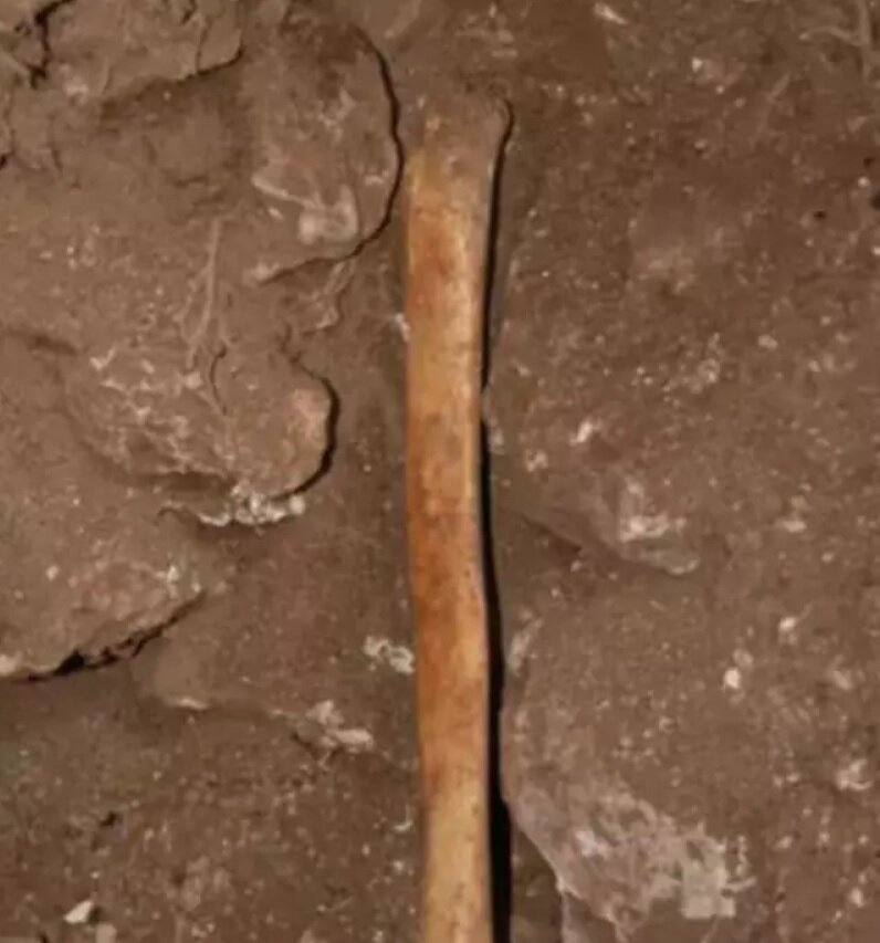 کشفی عجیب در بررسی غارهای انسانهای اولیه/ عکس