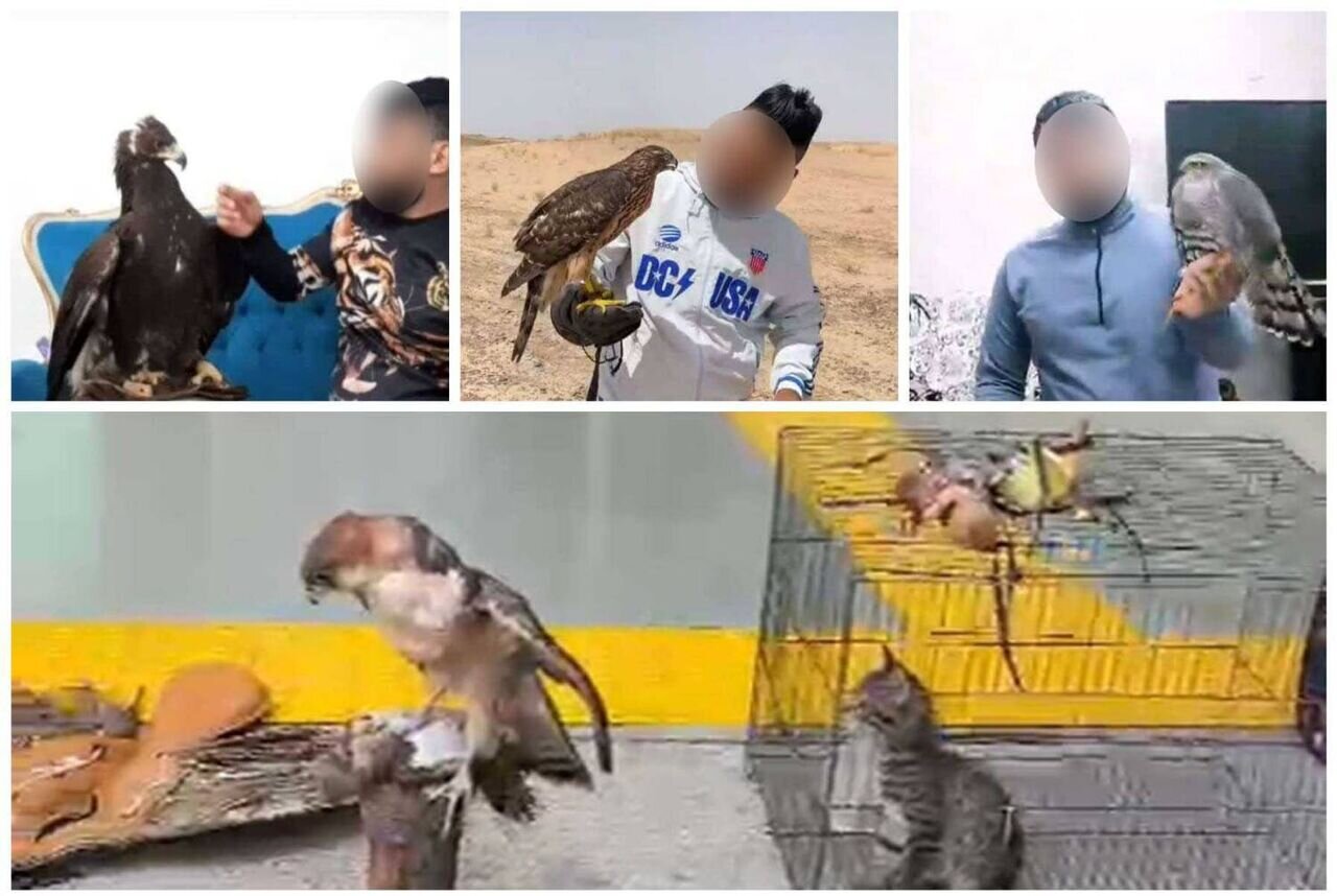 «دکتر عقاب» دستگیر شد/ عکس