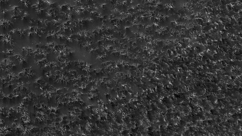 پدیدار شدن چهرههای آشنا در مریخ / انسانی که در سیاره سرخ نشسته است/ عکس