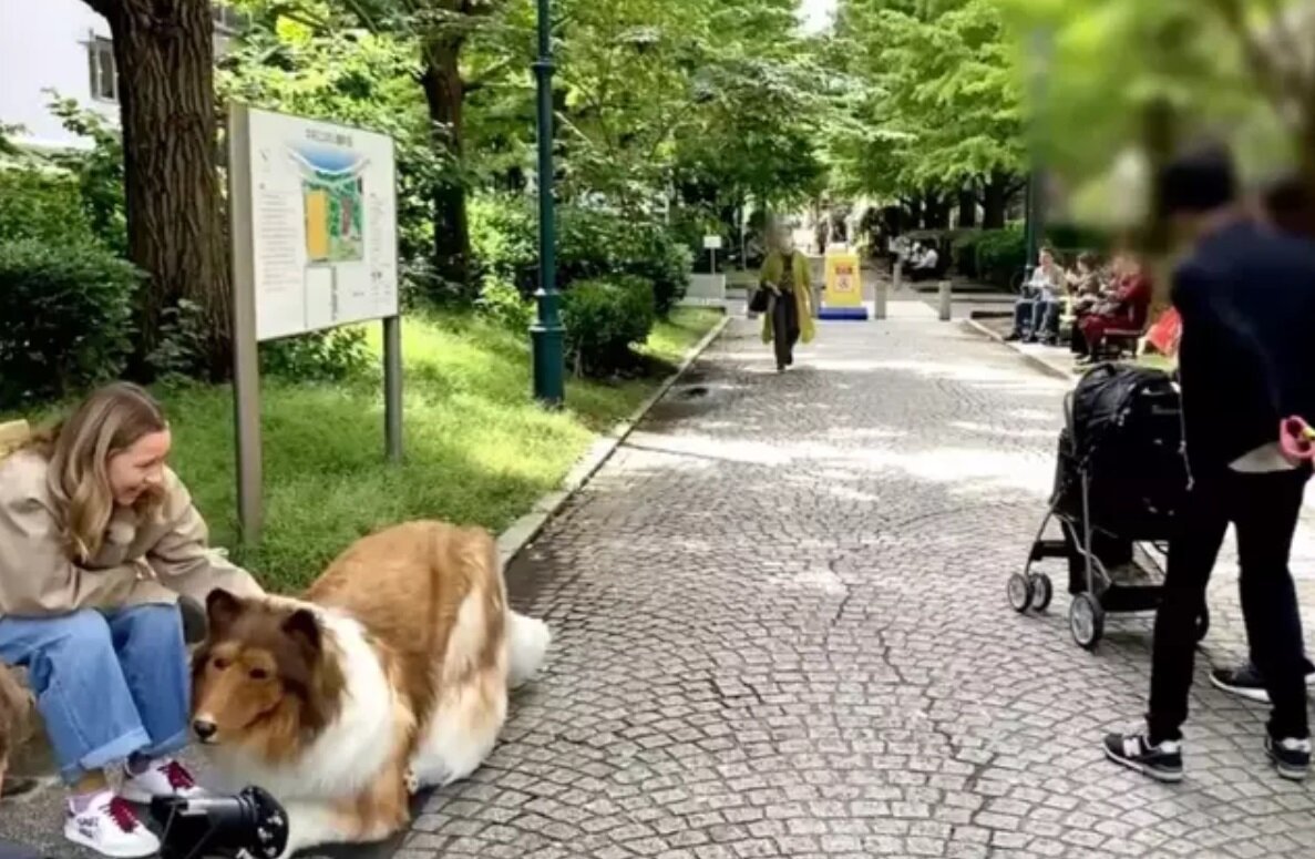 مردی که لباس سگ می‌پوشید، شاکی شده که چرا سگ‌ها با او بازی نمی‌کنند