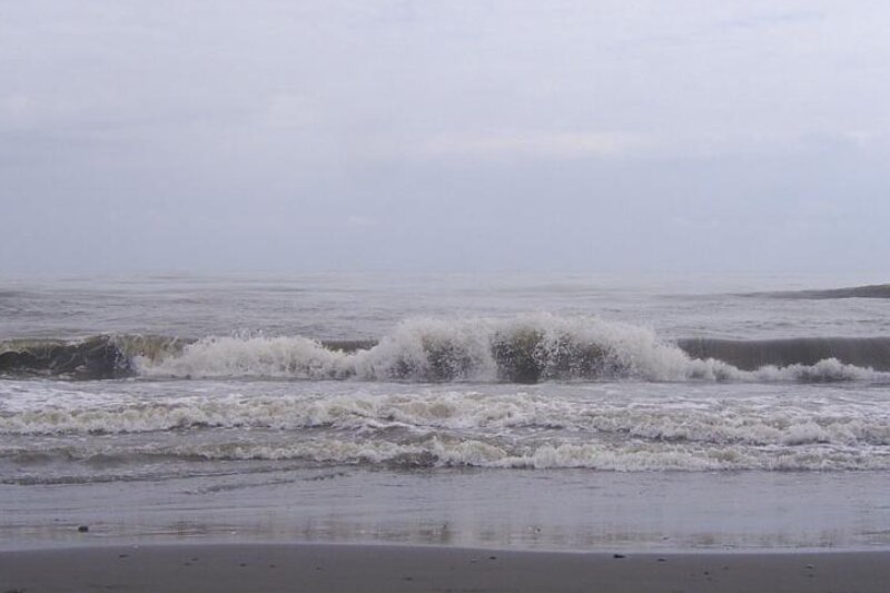 راز ترسناک قتل‌عام جانوران دریایی!