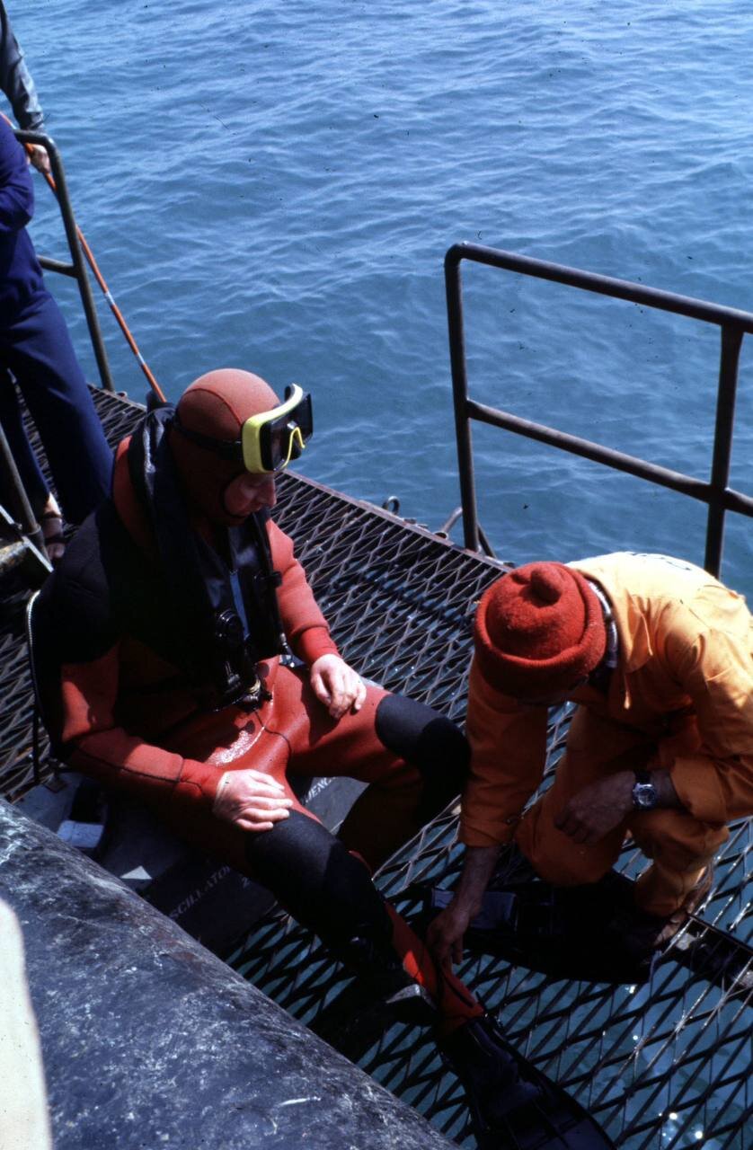 این پادشاه گواهینامه غواصی دارد!/ عکس