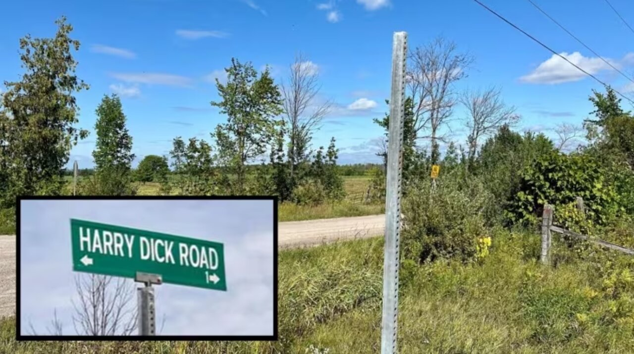 شوخی تمام شد؛ با سرقت تابلوی «هریدیکرُد» خداحافظی کنید