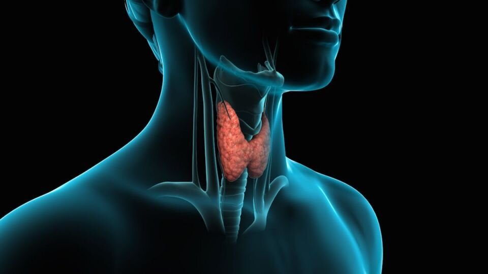 چرا ناخواسته وزن اضافه میکنیم؟/ ۸ دلیل افزایش وزن غیرارادی