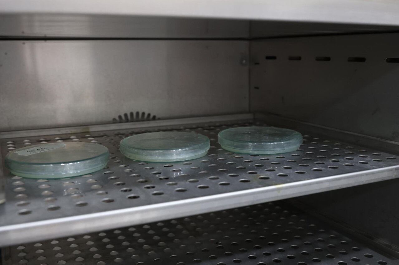 آغاز مرمت نسخه قدیمی انجیل به زبان آلمانی در آستان عباسی