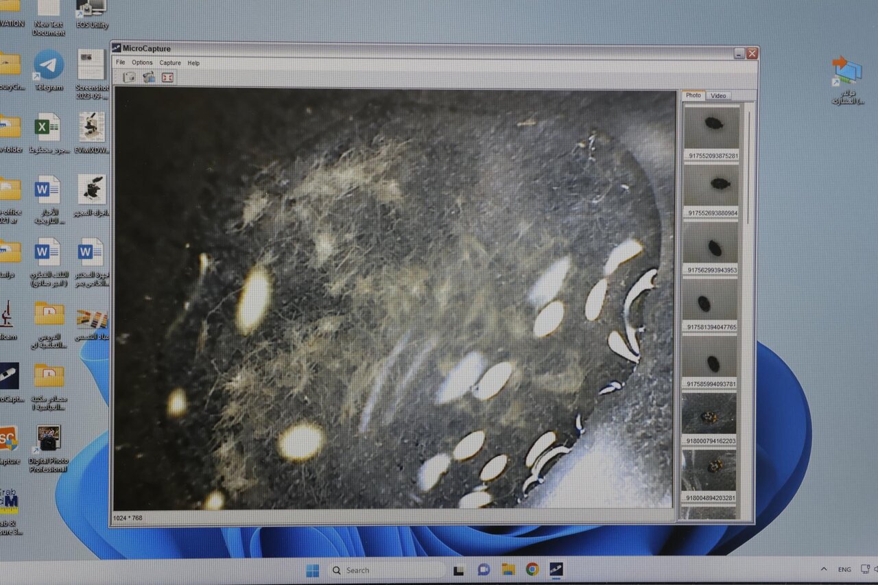 آغاز مرمت نسخه قدیمی انجیل به زبان آلمانی در آستان عباسی