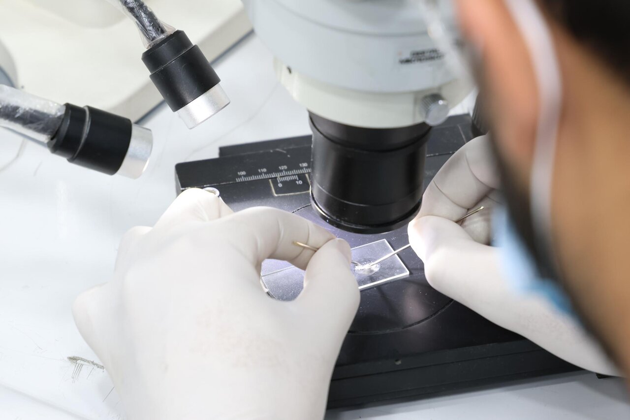 آغاز مرمت نسخه قدیمی انجیل به زبان آلمانی در آستان عباسی