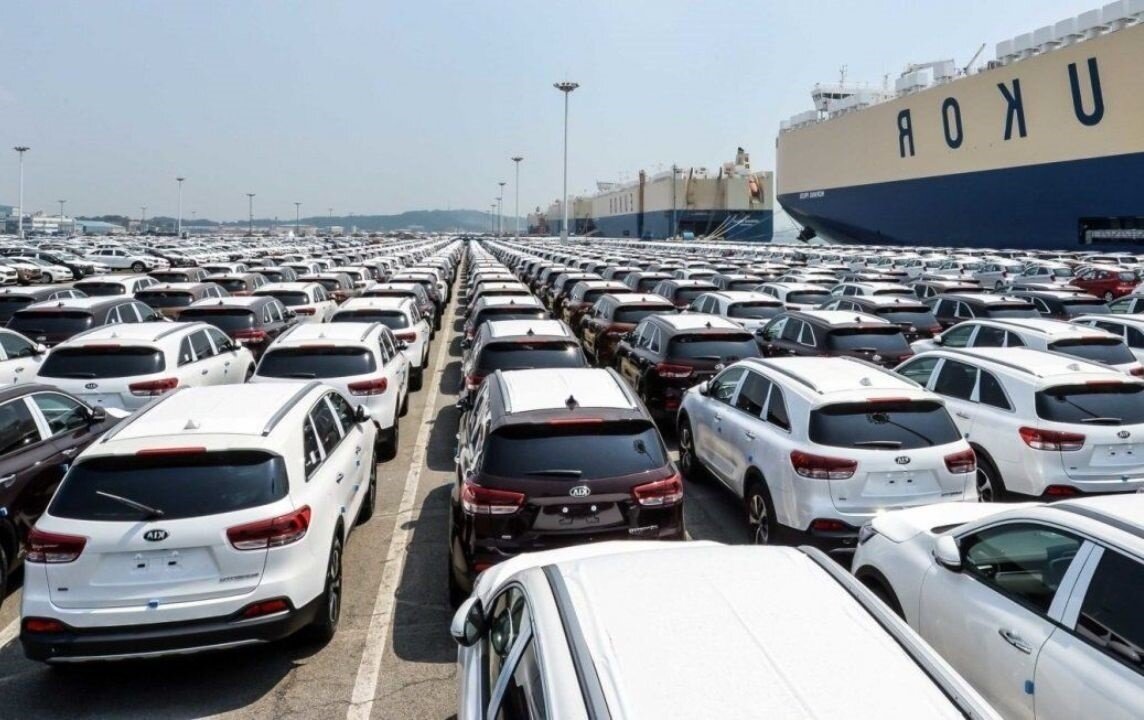 ببینید | وضعیت اسفناک خودروهای دپو شده در گمرک بوشهر
