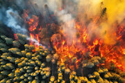 ببینید | آخرین تصاویر از آتش‌سوزی گسترده در جنگل‌های تنکابن