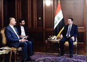 Iran FM, Iraqi PM discuss Palestine situation