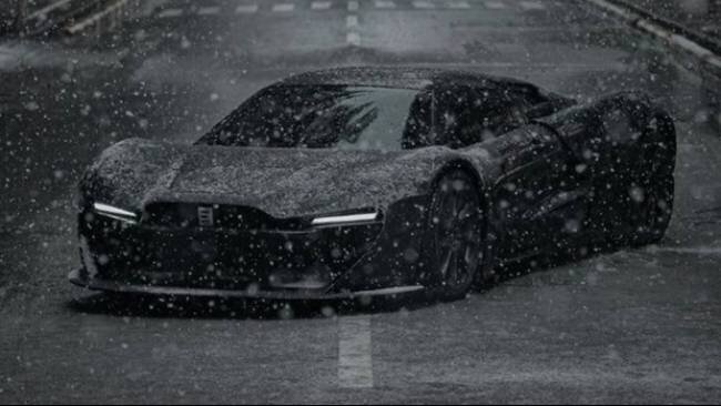 پرنده اسطورهای ایران در قطر چه میکند؟