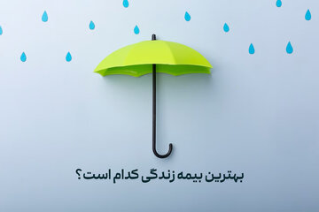 کدام بیمه زندگی بهتر است؟