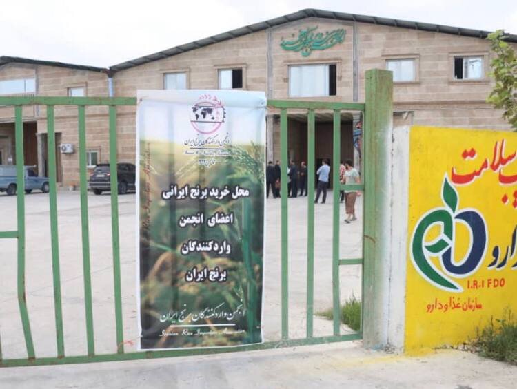 حمایت هزار میلیاردی از شالی کاران شمال کشور