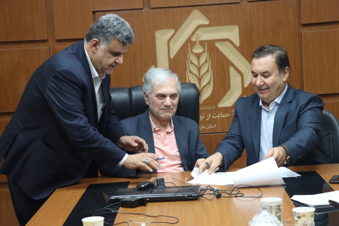 حمایت هزار میلیاردی از شالی کاران شمال کشور