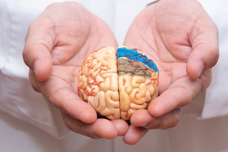 آیا کمبود این ویتامین منجر به نابودی مغز میشود؟