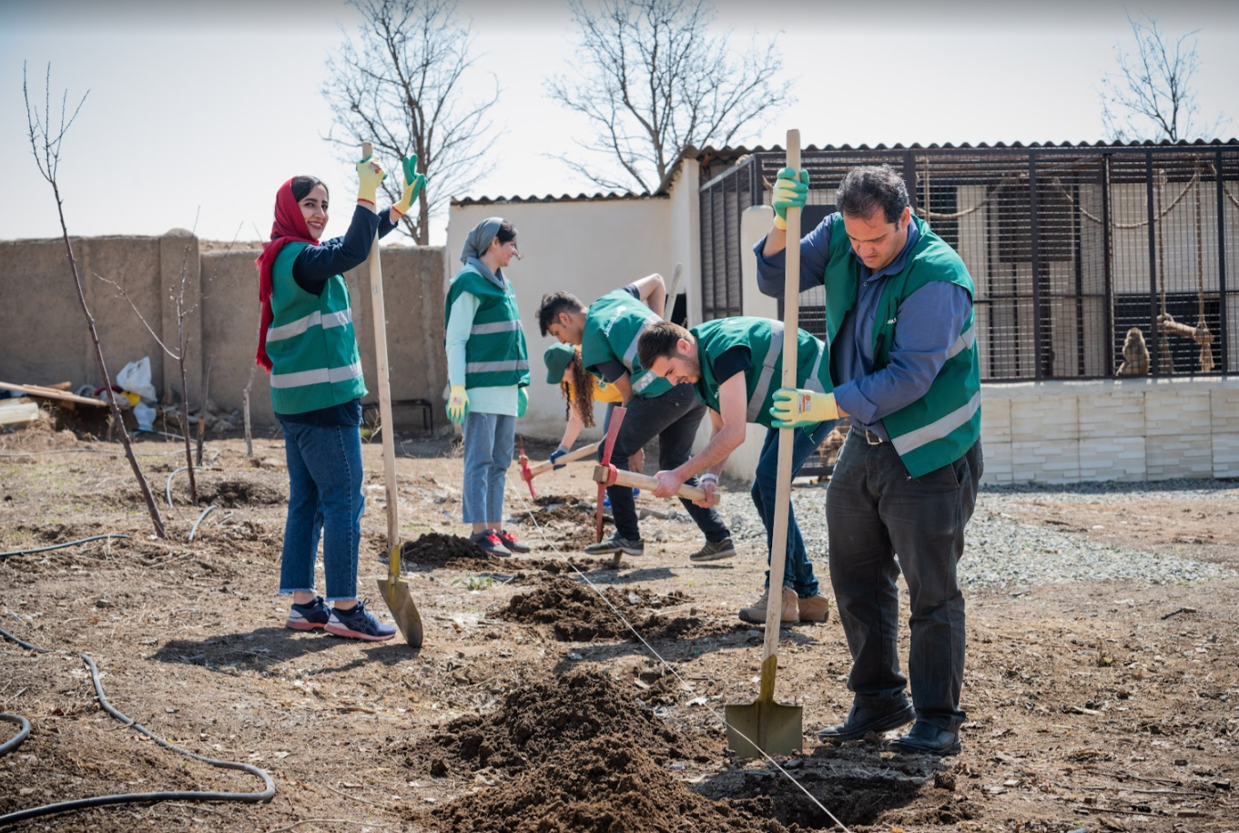 گزارشی از مسیر دیجیکالا مهر از دیروز تا امروز