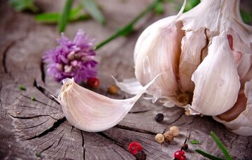 معجزه خوردن یک حبه «سیر» برای سلامت بدن معجزه خوردن یک حبه «سیر» برای سلامت بدن