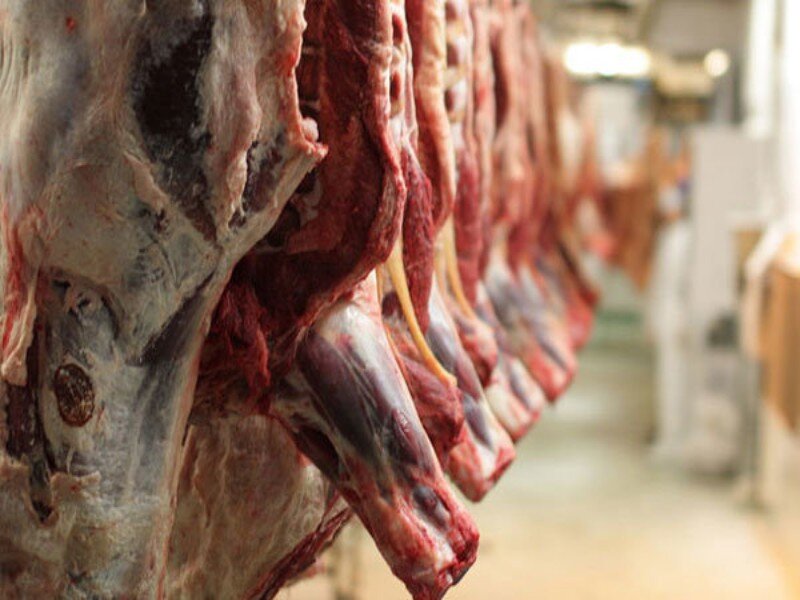 - قیمت گوشت قرمز در بازار تهران کاهش یافت/ زایش مطلوب جمعیت دامی در پاییز