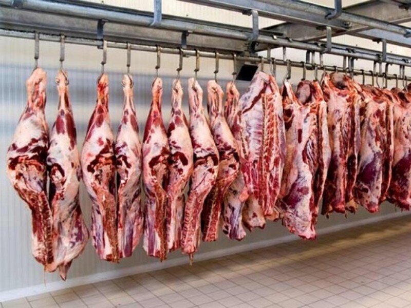 می‌گویند عرضه گوشت افزایش پیدا کرده اما کو؟ / احتمال جهش قیمت گوشت در نیمه دوم ۱۴۰۳