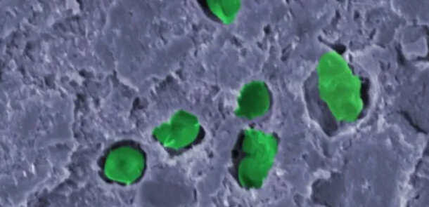 نفس کشیدن در هوای مریخ/ سیاره سرخ قابل سکونت میشود