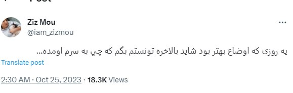 زینب موسوی آزاد شد؟