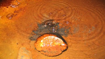قدیمی‌ترین «آب» کره زمین توسط یک دانشمند خورده شد!