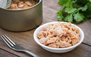 رشد 1800 درصدی قیمت کنسرو ماهی تن طی 12 سال / تن ماهی همچنان در مسیر گرانی