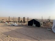 تصاویر | طالبان ساخت مسکن برای زلزله‌زدگان هرات را شروع کرد